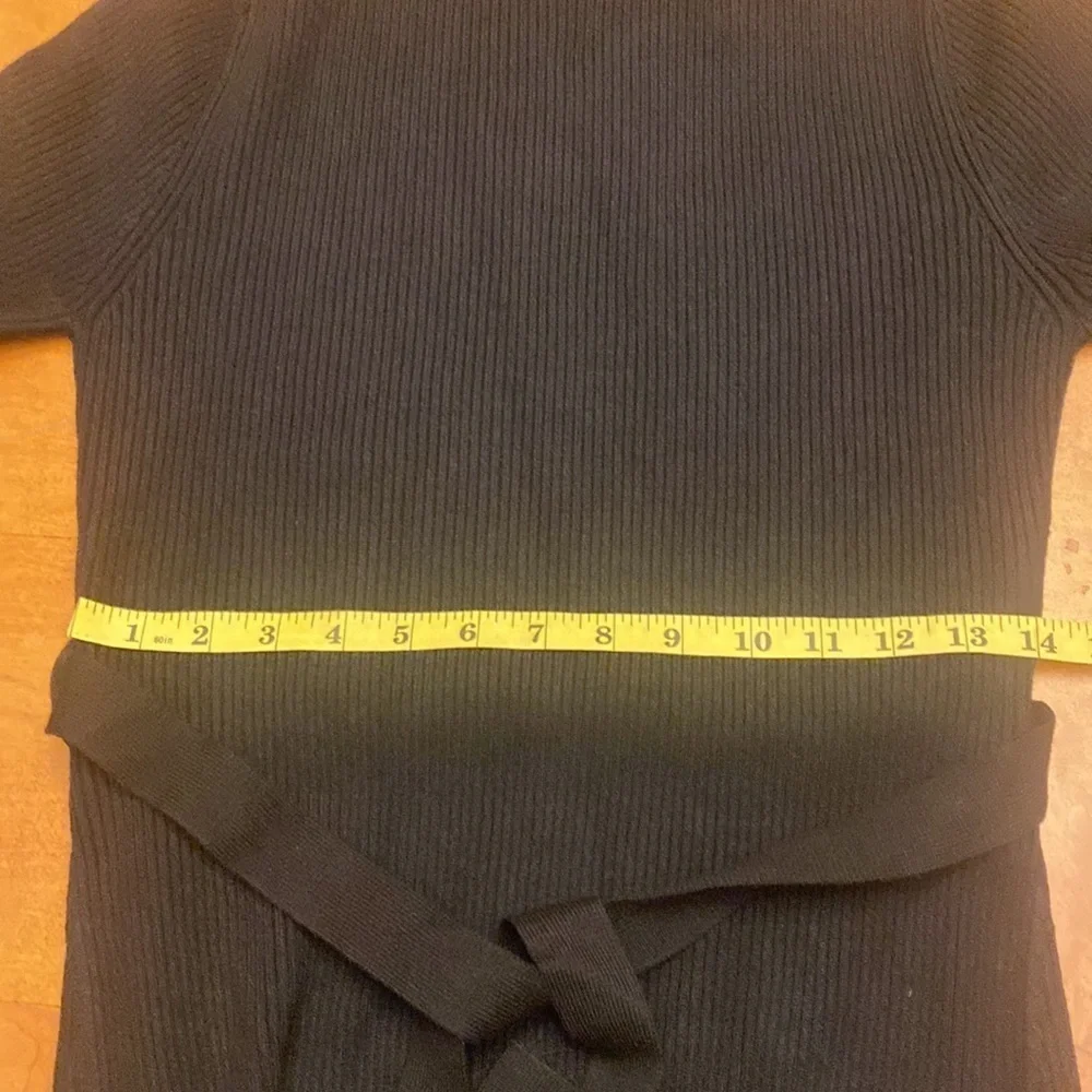 NWOT Caracilia knitted long sleeve dress with high neckline.